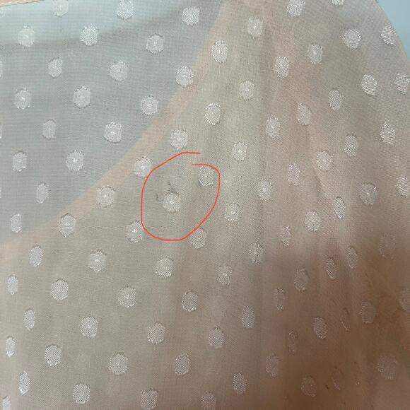 Black Rainn Peach Sheer Swiss Dot Shirt Size L Sleeveless - Picture 8 of 9